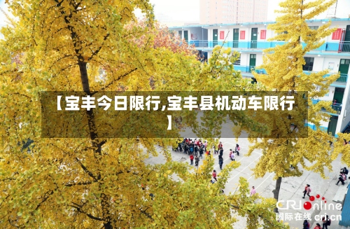 【宝丰今日限行,宝丰县机动车限行】