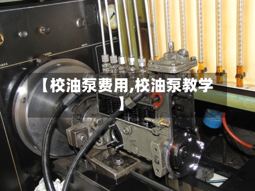 【校油泵费用,校油泵教学】