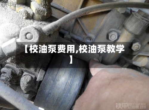 【校油泵费用,校油泵教学】-第2张图片