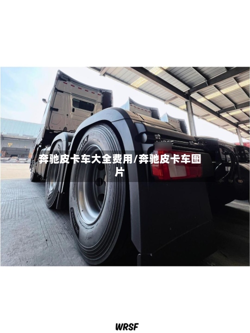 奔驰皮卡车大全费用/奔驰皮卡车图片-第3张图片