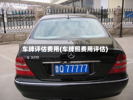 车牌评估费用(车牌照费用评估)