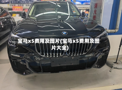 宝马x5费用及图片(宝马x5费用及图片大全)