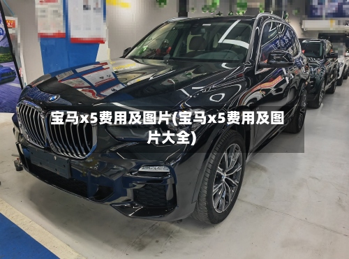 宝马x5费用及图片(宝马x5费用及图片大全)-第2张图片