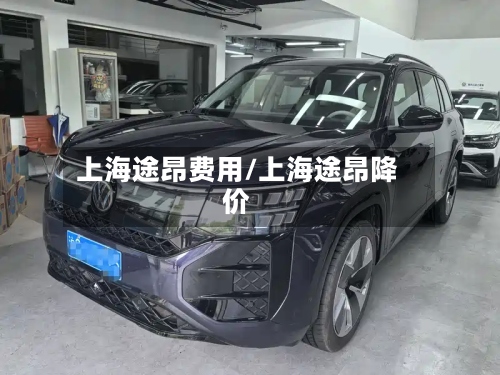 上海途昂费用/上海途昂降价-第2张图片