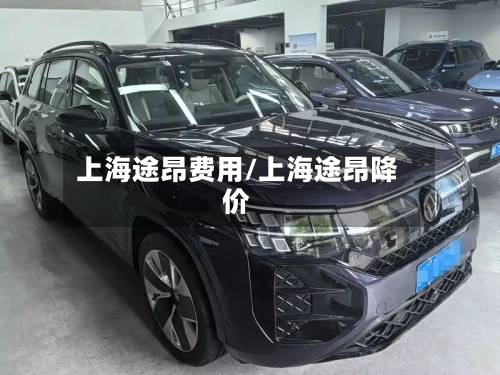 上海途昂费用/上海途昂降价
