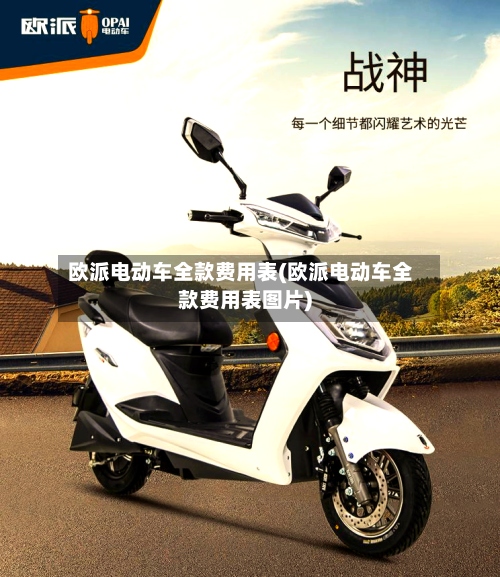 欧派电动车全款费用表(欧派电动车全款费用表图片)