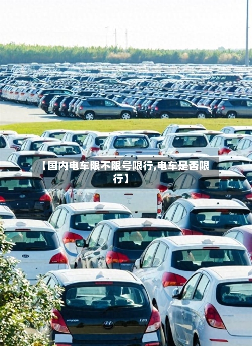 【国内电车限不限号限行,电车是否限行】