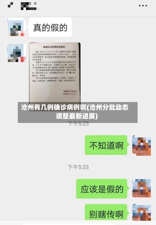 沧州有几例确诊病例啊(沧州分批动态调整最新进展)