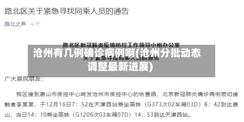 沧州有几例确诊病例啊(沧州分批动态调整最新进展)-第2张图片