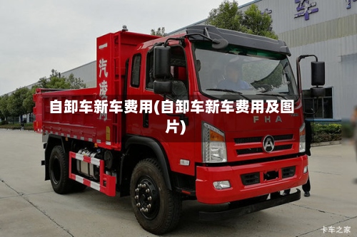 自卸车新车费用(自卸车新车费用及图片)