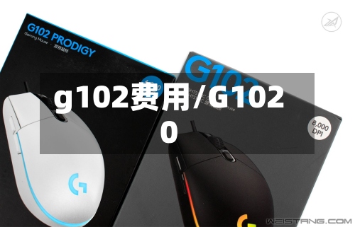 g102费用/G1020-第2张图片