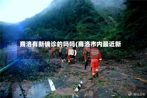 商洛有新确诊的吗吗(商洛市内最近新闻)