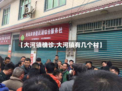 【大河镇确诊,大河镇有几个村】-第2张图片