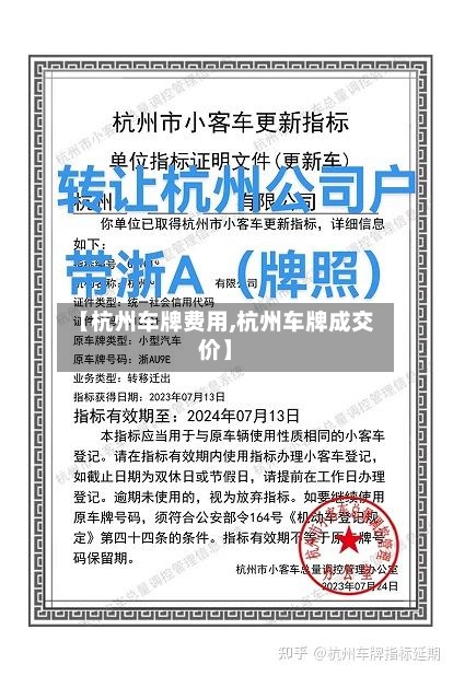 【杭州车牌费用,杭州车牌成交价】