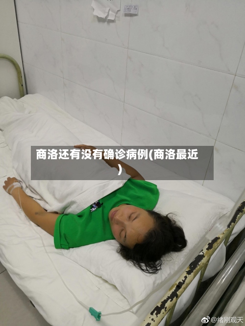 商洛还有没有确诊病例(商洛最近)-第2张图片