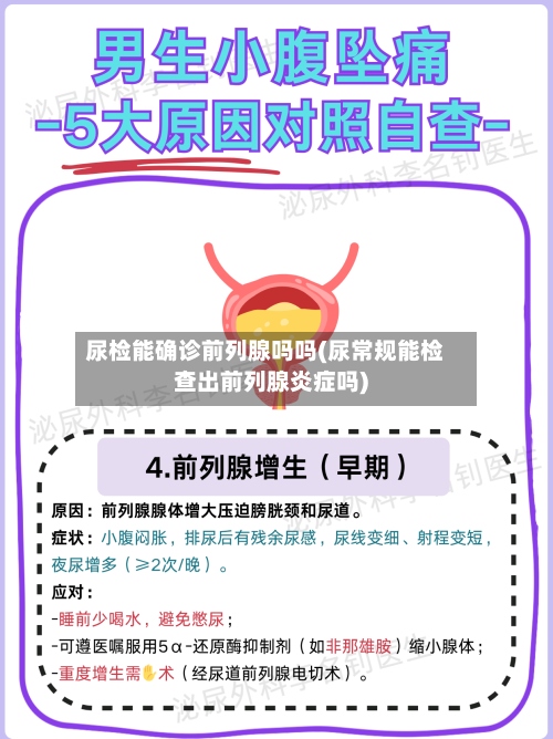 尿检能确诊前列腺吗吗(尿常规能检查出前列腺炎症吗)-第2张图片