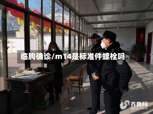 临朐确诊/m14是标准件螺栓吗