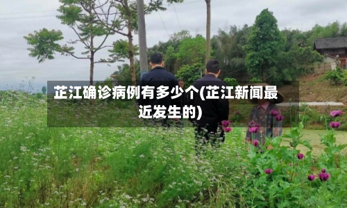 芷江确诊病例有多少个(芷江新闻最近发生的)