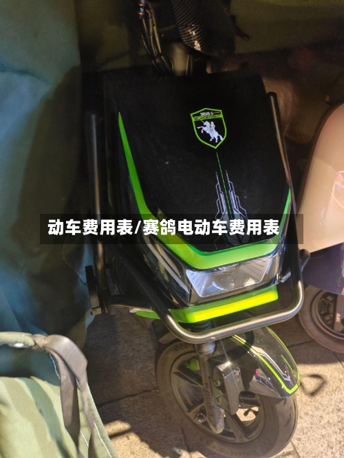 动车费用表/赛鸽电动车费用表
