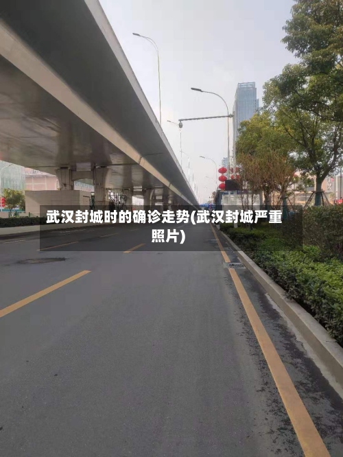 武汉封城时的确诊走势(武汉封城严重照片)