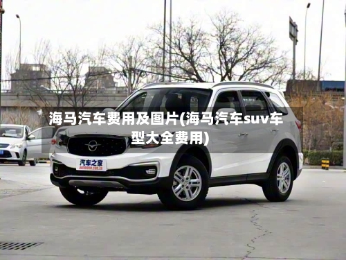 海马汽车费用及图片(海马汽车suv车型大全费用)-第2张图片