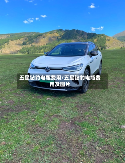 五星钻豹电瓶费用/五星钻豹电瓶费用及图片
