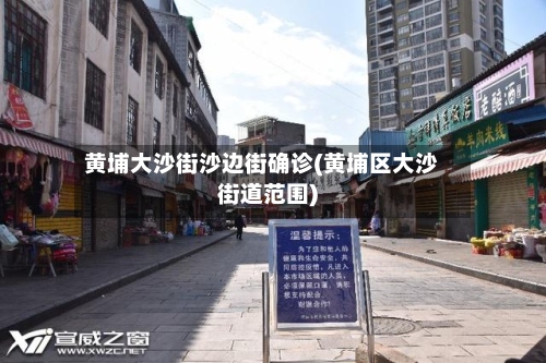 黄埔大沙街沙边街确诊(黄埔区大沙街道范围)-第2张图片