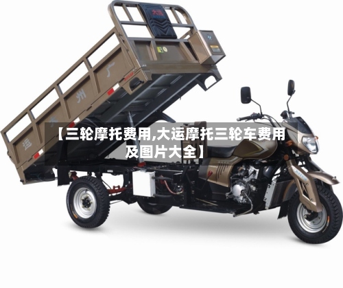【三轮摩托费用,大运摩托三轮车费用及图片大全】-第3张图片