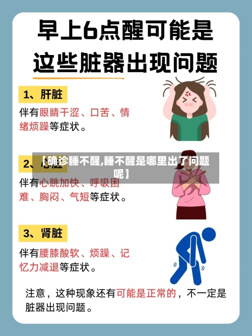 【确诊睡不醒,睡不醒是哪里出了问题呢】-第2张图片
