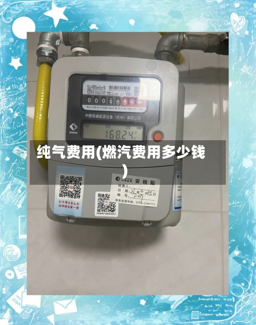 纯气费用(燃汽费用多少钱)