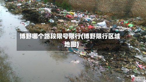 博野哪个路段限号限行(博野限行区域地图)