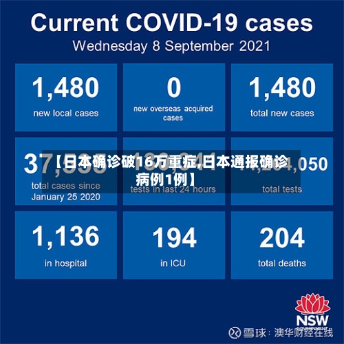 【日本确诊破16万重症,日本通报确诊病例1例】-第2张图片