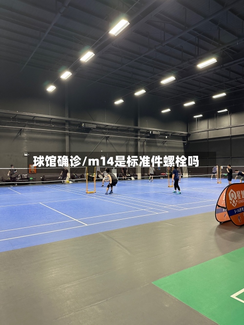 球馆确诊/m14是标准件螺栓吗-第2张图片
