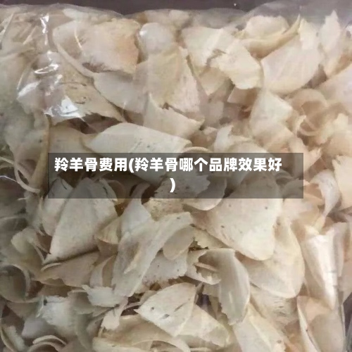 羚羊骨费用(羚羊骨哪个品牌效果好)-第3张图片