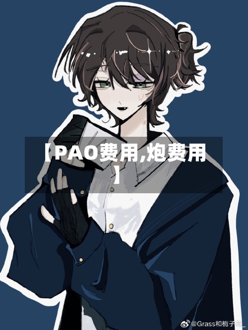 【PAO费用,炮费用】-第2张图片
