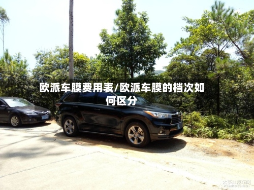 欧派车膜费用表/欧派车膜的档次如何区分-第3张图片