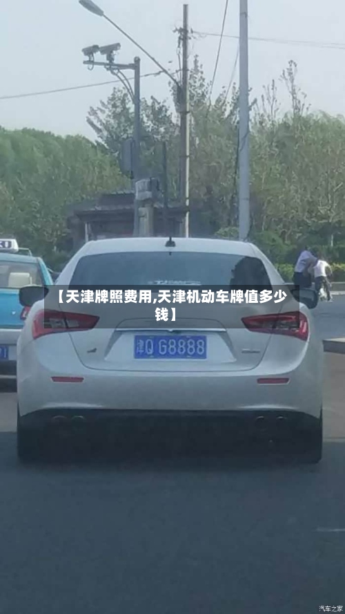 【天津牌照费用,天津机动车牌值多少钱】