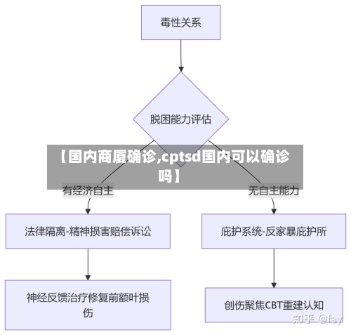 【国内商厦确诊,cptsd国内可以确诊吗】-第3张图片