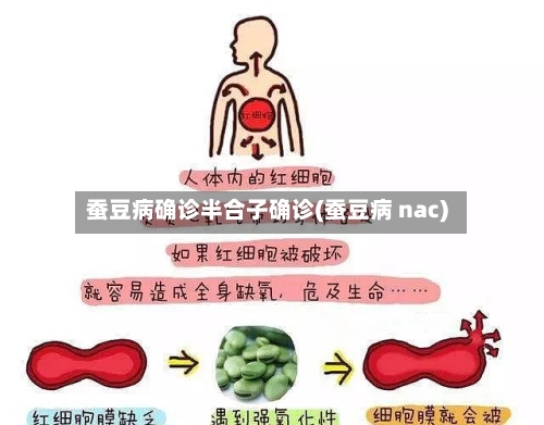 蚕豆病确诊半合子确诊(蚕豆病 nac)-第3张图片