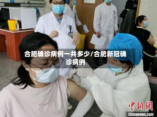 合肥确诊病例一共多少/合肥新冠确诊病例-第2张图片