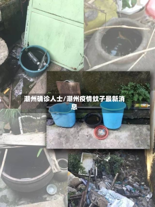 潮州确诊人士/潮州疫情蚊子最新消息-第3张图片