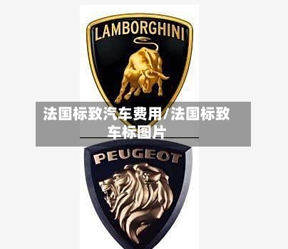 法国标致汽车费用/法国标致车标图片