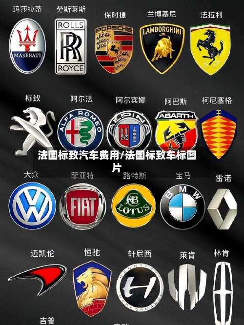 法国标致汽车费用/法国标致车标图片-第3张图片