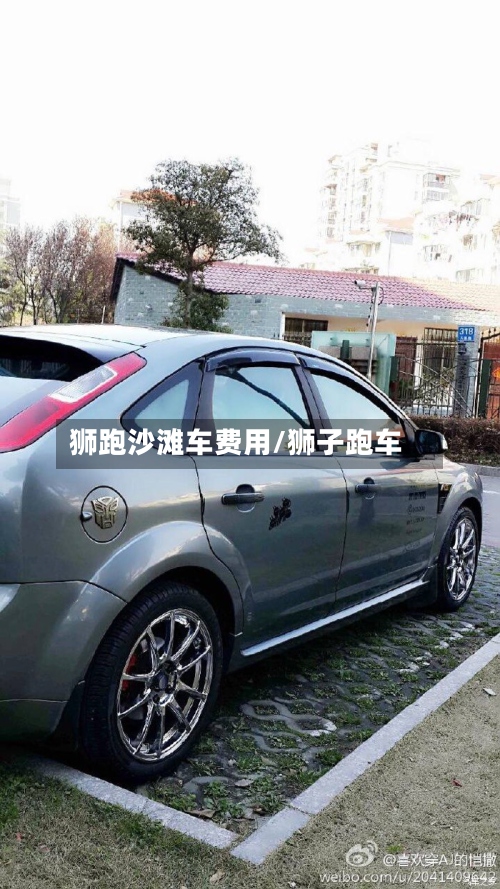 狮跑沙滩车费用/狮子跑车-第3张图片