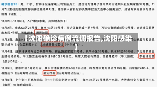 【沈阳确诊病例流调报告,沈阳感染】-第2张图片