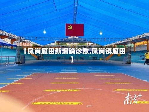 【凤岗雁田新增确诊数,凤岗镇雁田】-第2张图片