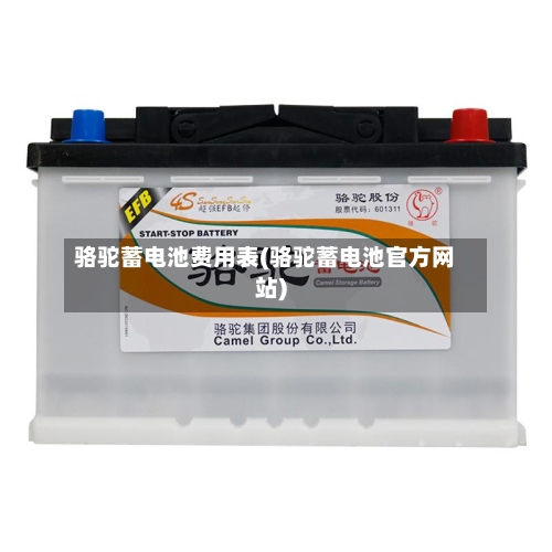 骆驼蓄电池费用表(骆驼蓄电池官方网站)-第3张图片