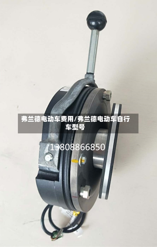 弗兰德电动车费用/弗兰德电动车自行车型号