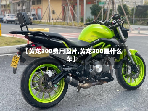 【黄龙300费用图片,黄龙300是什么车】