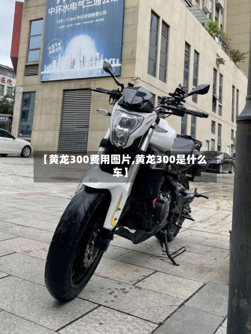 【黄龙300费用图片,黄龙300是什么车】-第2张图片